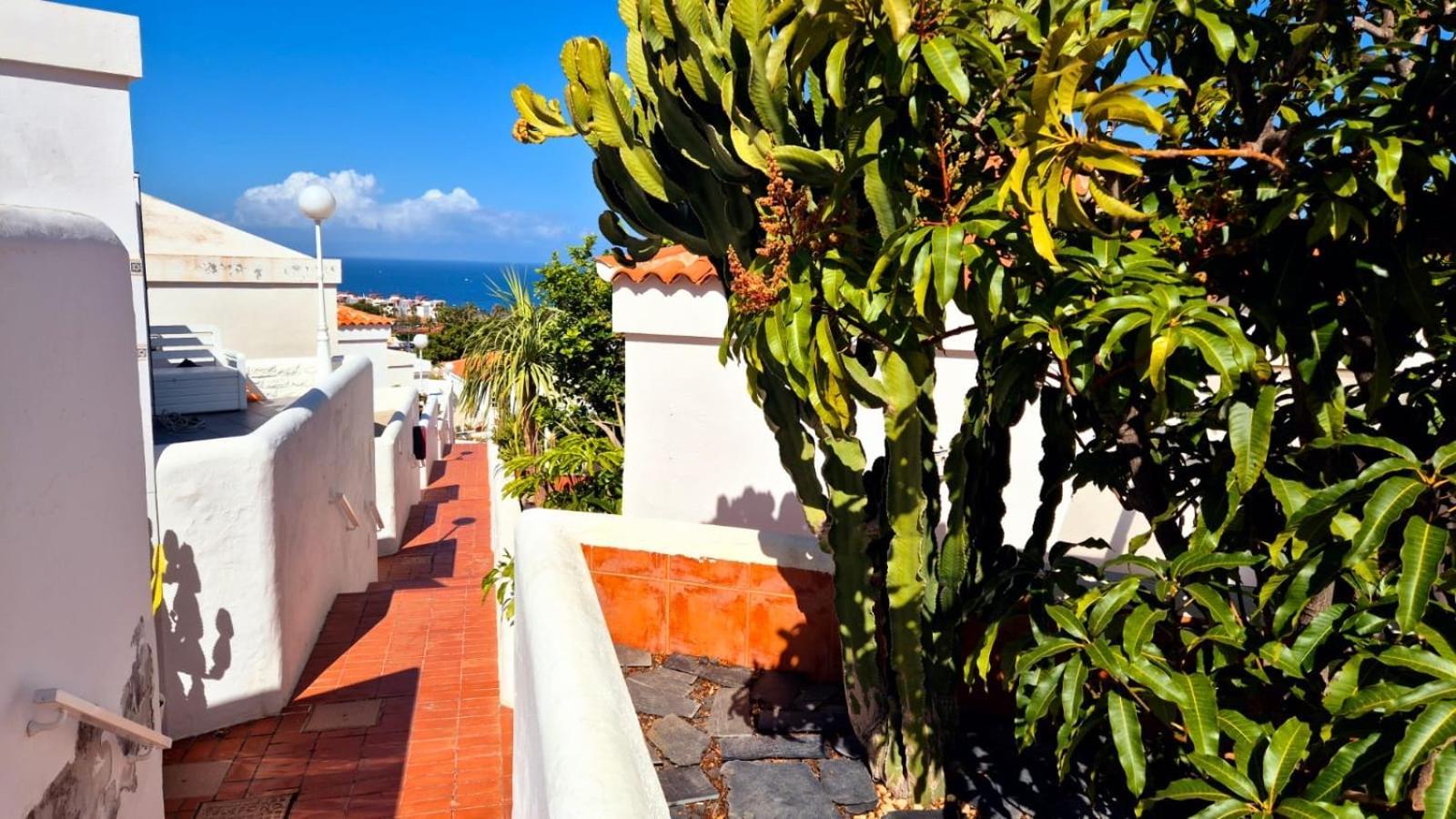 Costa Adeje Bungalow -Tenerife Экстерьер фото